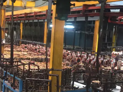 Varnish Coating Machine